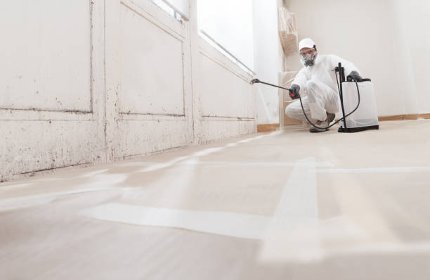24/7 Emergency Mold Removal experts in White Plains, VA