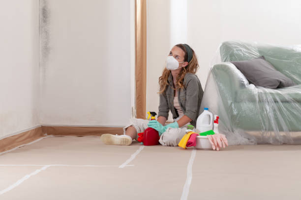 Reliable Mold Removal contractor in White Plains, VA by WQB Mold Removal